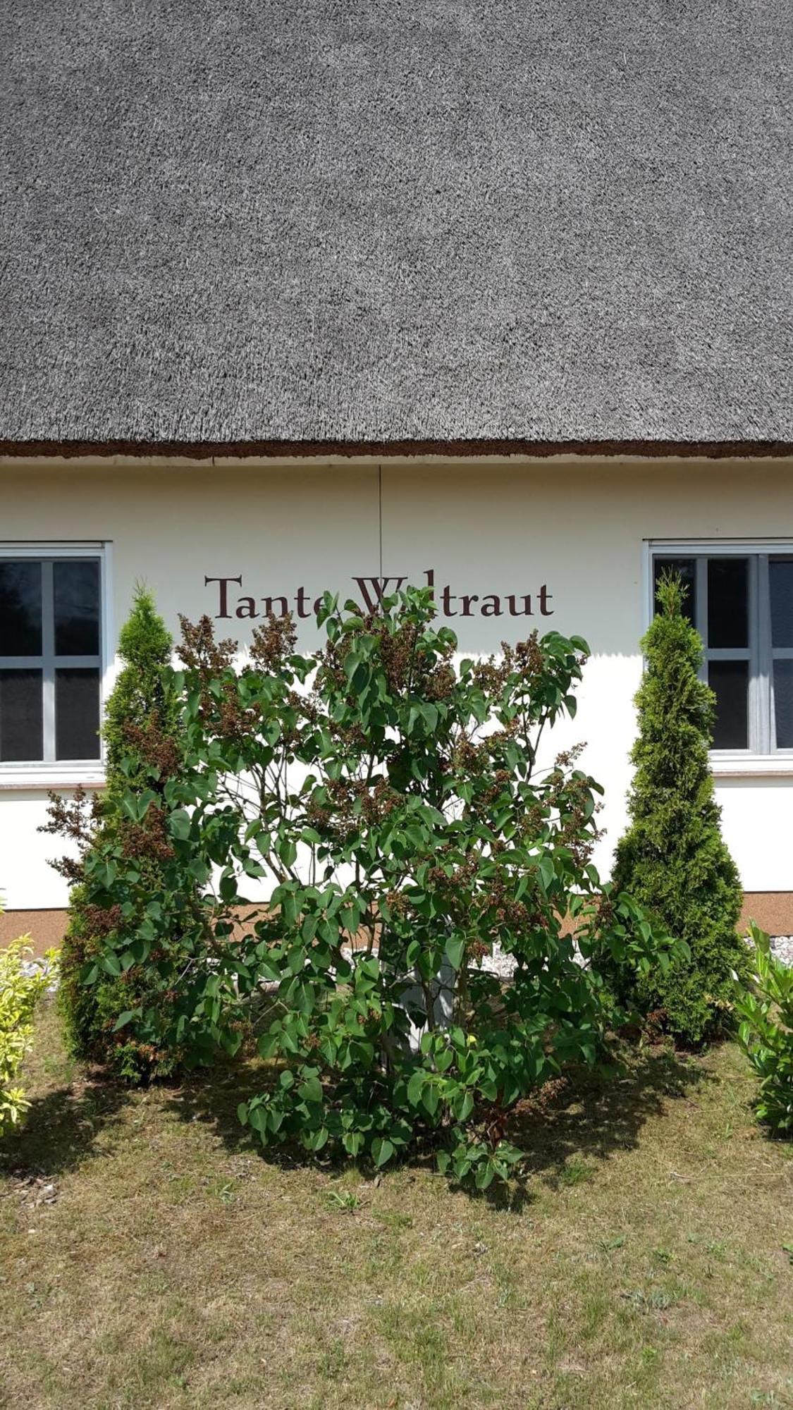 Haeuschen "Tante Waltraut" Villa Garz  Exterior photo